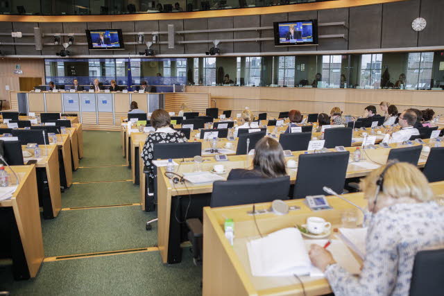environment committee